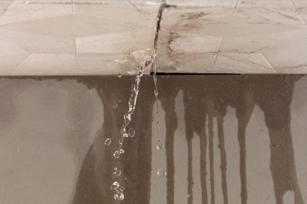 Professional Structural Drying technician working in Somerset Center, MI